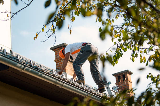 Best Roof Maintenance Services  in Mullens, WV
