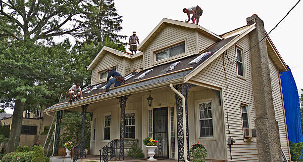 Best Roof Repair Services  in Mullens, WV