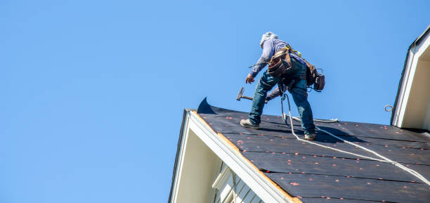 Best Sealant for Roof  in Mullens, WV